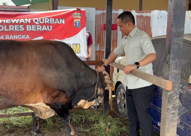 Rayakan Iduladha, Polres Berau Kurban 15 Kambing dan 31 Sapi