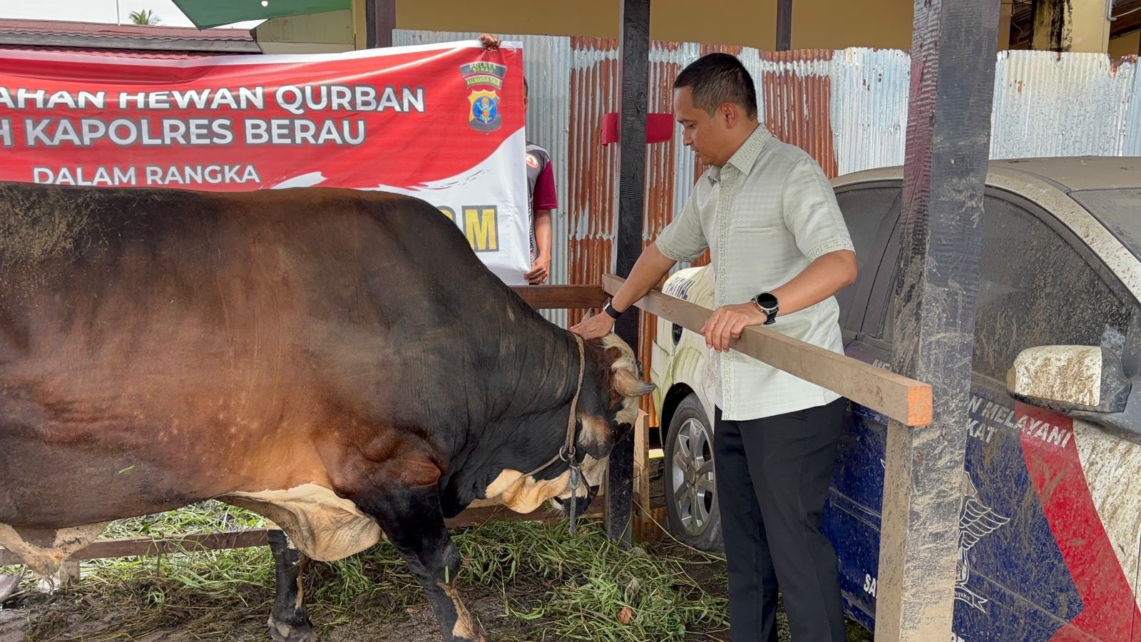 Rayakan Iduladha, Polres Berau Kurban 15 Kambing dan 31 Sapi