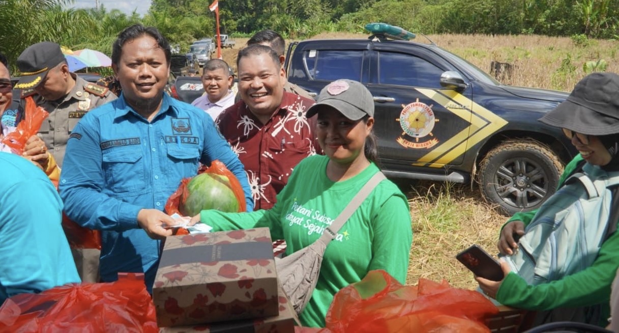 Panen Raya Semangka Dumaring Tembus 20 Ton, BUMK Sukses Sulap Lahan Jadi Sumber Ekonomi