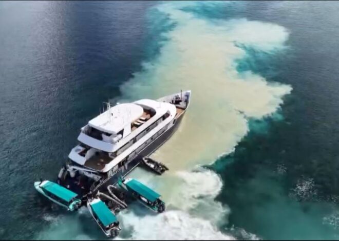 Kapal Pesiar Kandas di Spot Estetik, Terumbu Karang Maratua Terancam Rusak