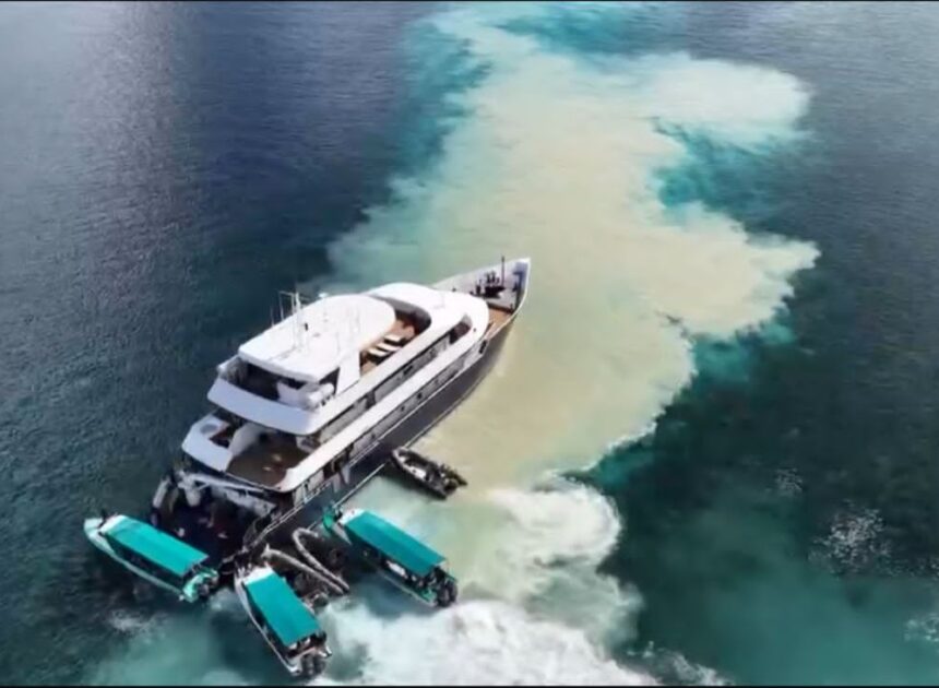 Kapal Pesiar Kandas di Spot Estetik, Terumbu Karang Maratua Terancam Rusak