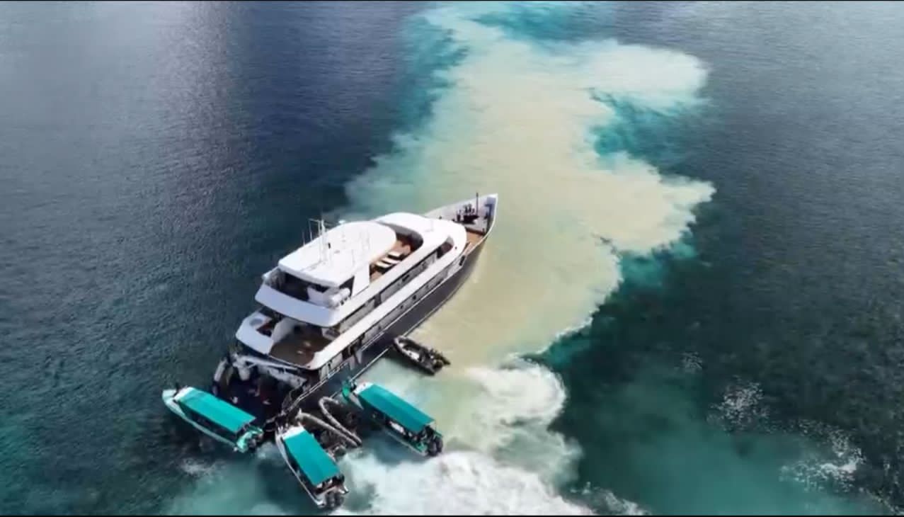 Kapal Pesiar Kandas di Spot Estetik, Terumbu Karang Maratua Terancam Rusak