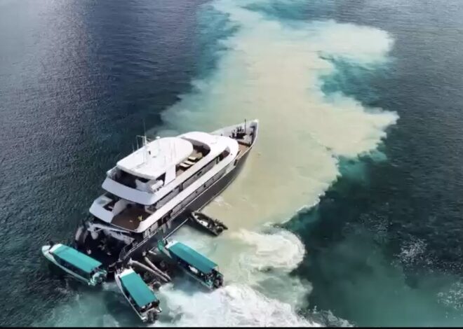 KKP Rampungkan Investigasi Kapal LOB Sea-See, Hasil Kerusakan Karang Segera Diumumkan