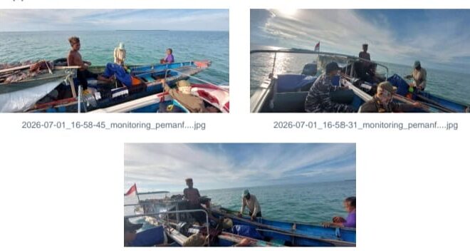 Pelaku Eksploitasi Hiu di Perairan Berau Diberi Peringatan, Ulangi Pelanggaran Akan Diproses Hukum