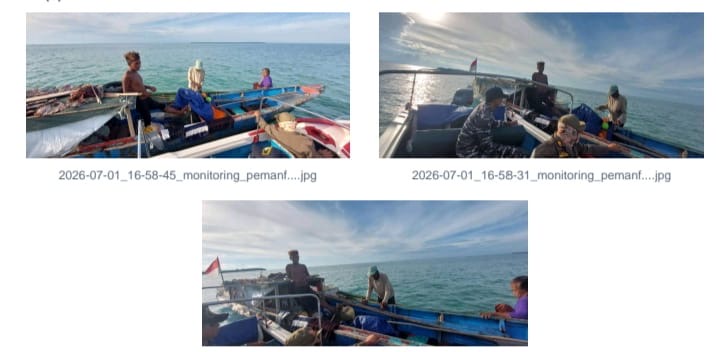Pelaku Eksploitasi Hiu di Perairan Berau Diberi Peringatan, Ulangi Pelanggaran Akan Diproses Hukum