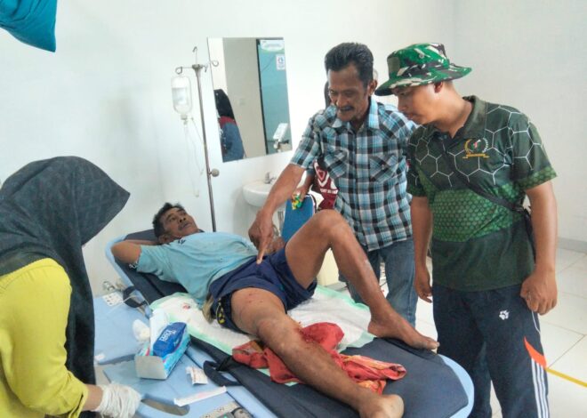 Berniat Bersihkan Kapal, Abdul Majid Diserang Buaya