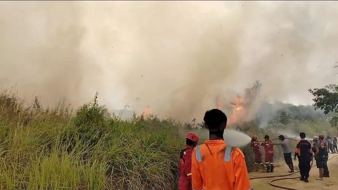 Status Karhutla Naik, Pemkab Berau Buka Peluang Gunakan Dana BTT