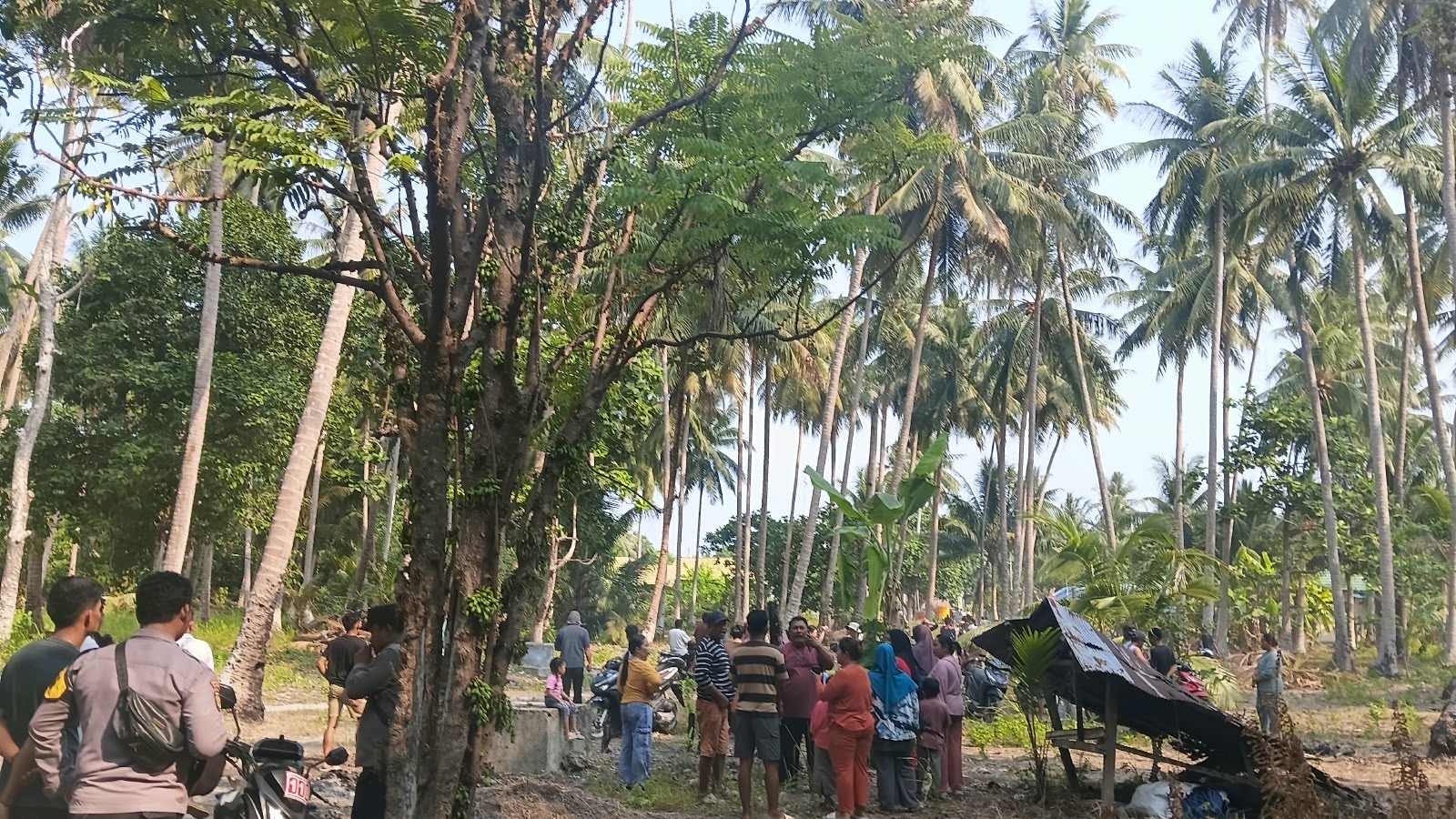 Liburan Berujung Duka, Wisatawan Jakarta Go Mo Lij Ditemukan Tak Bernyawa di Kebun Kelapa