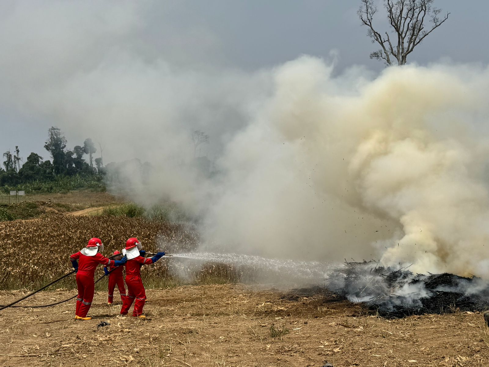 Menjaga Negeri dari Api, YWA, AAPA, dan GAS Berjibaku Bantu Padamkan Api di Luar Konsesi